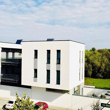Casa Maria City Apartments Timişoara Exteriör bild