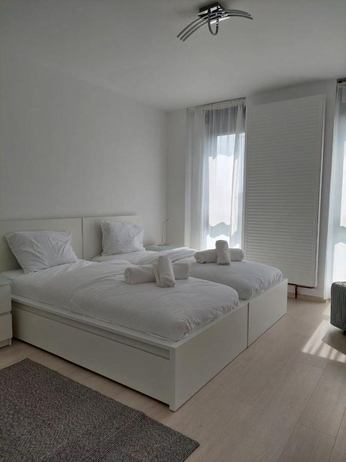 Casa Maria City Apartments Timişoara Exteriör bild